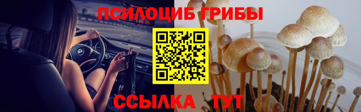 Галлюциногенные грибы MAGIC MUSHROOMS  Галлюциногенные грибы прущие грибы  Ликино-Дулёво  Вход с VPN 